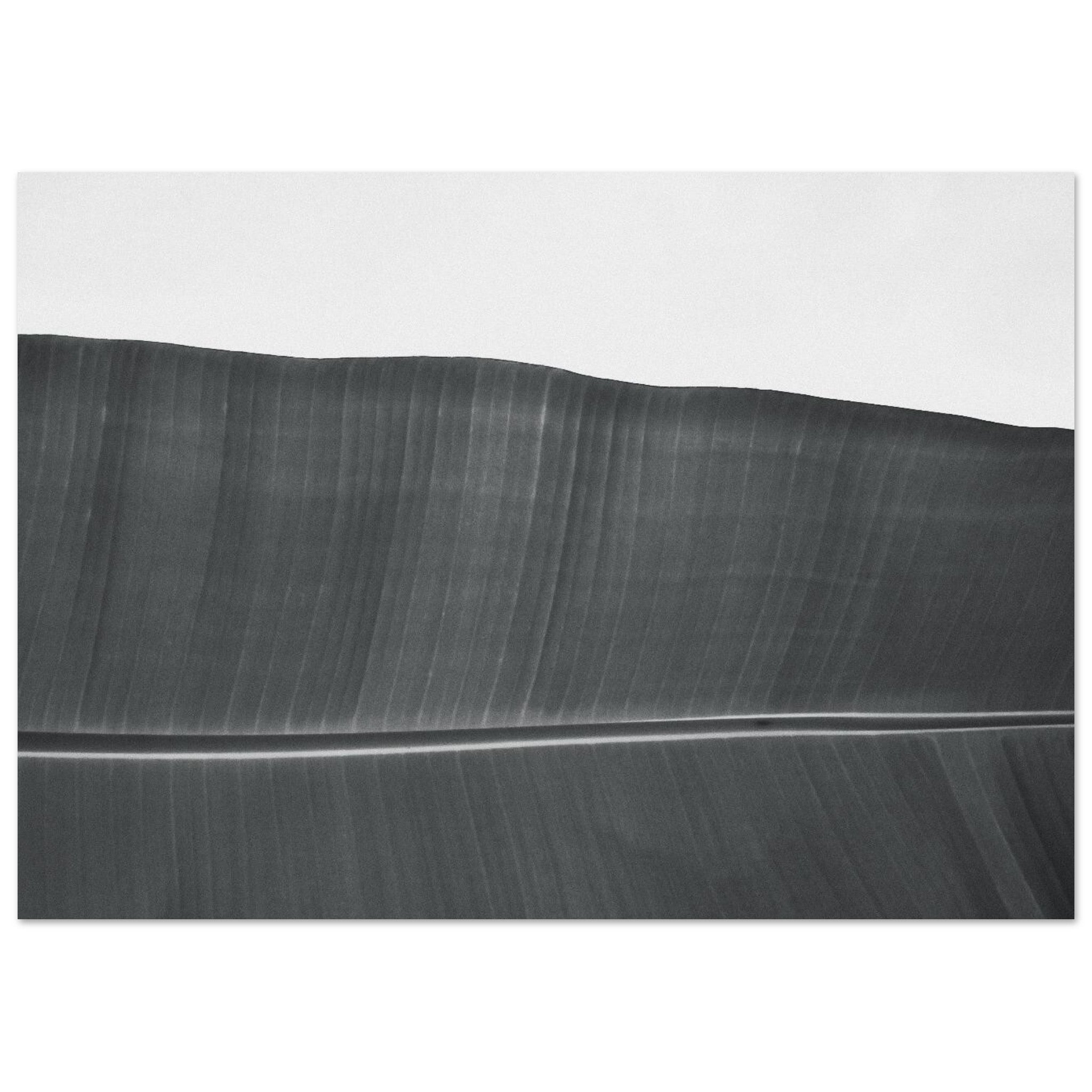 76780582-f600-4aa7-8ece-292d9e180e0d
