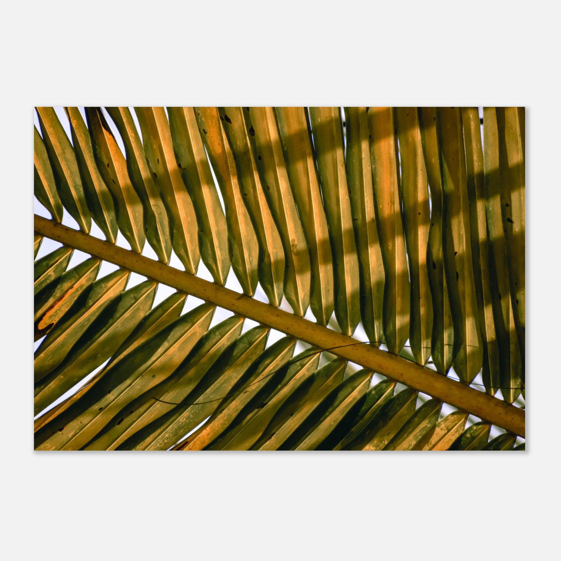 15843ab3-52af-460d-8649-c7b9e2cf2161