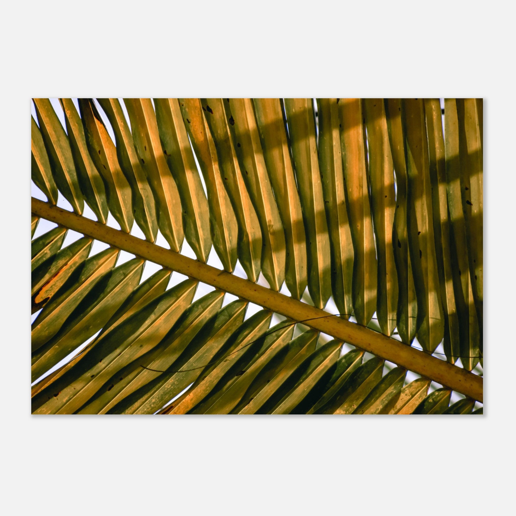 15843ab3-52af-460d-8649-c7b9e2cf2161