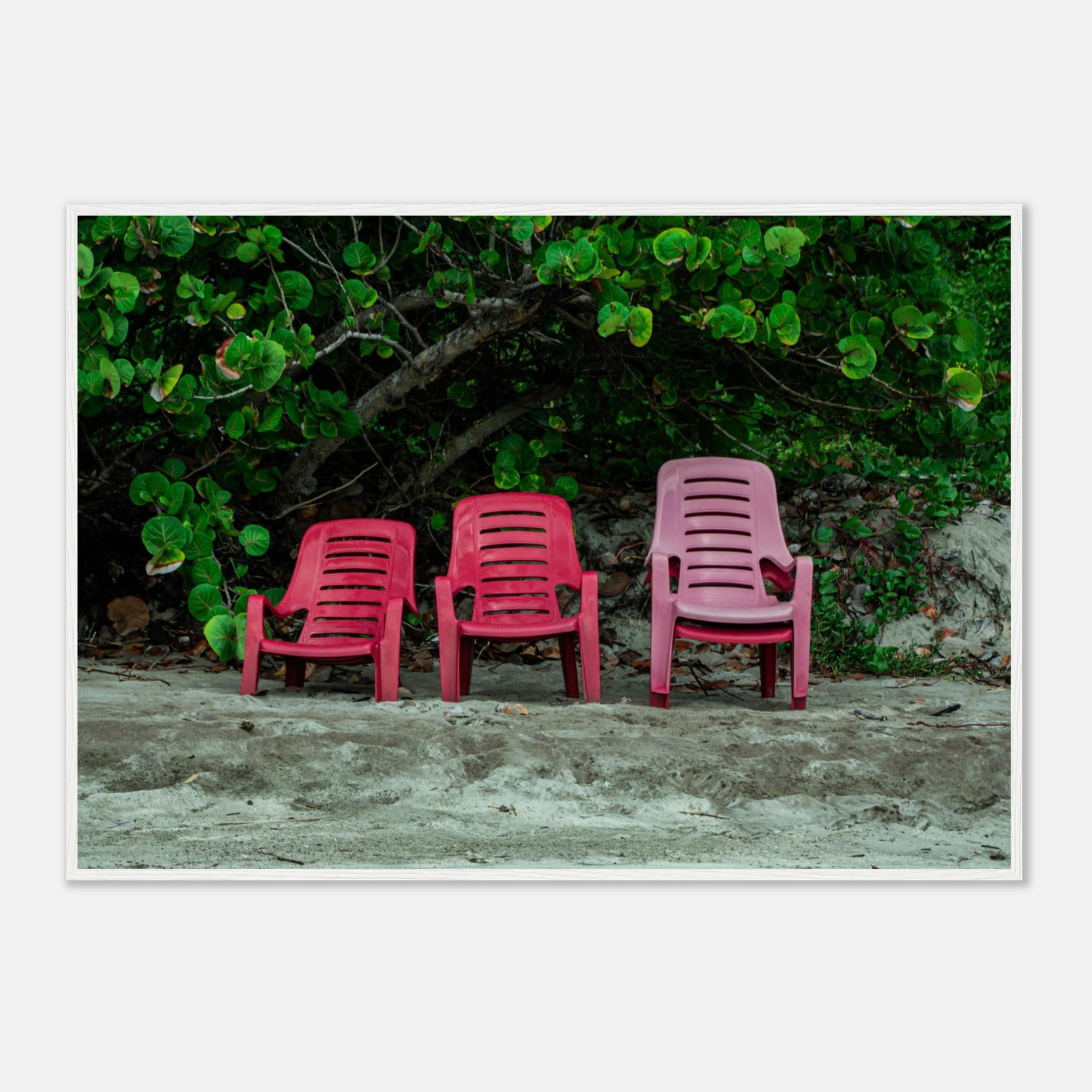 1a00b340-f49e-4e5e-af3a-136a47699299