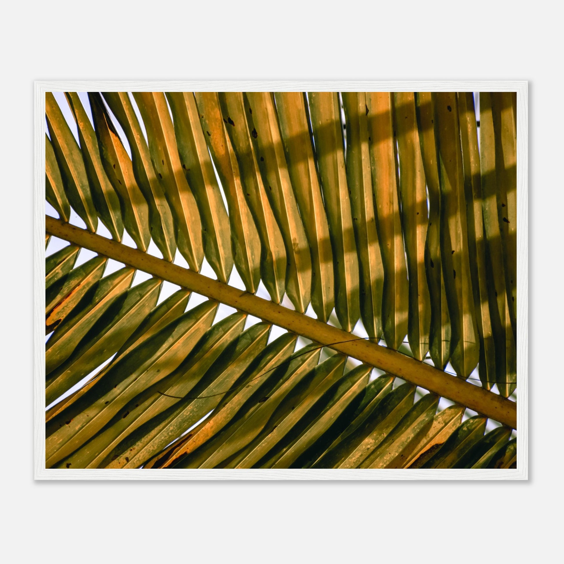 228ddac4-a78e-4371-9c8d-fcc07ee08e21