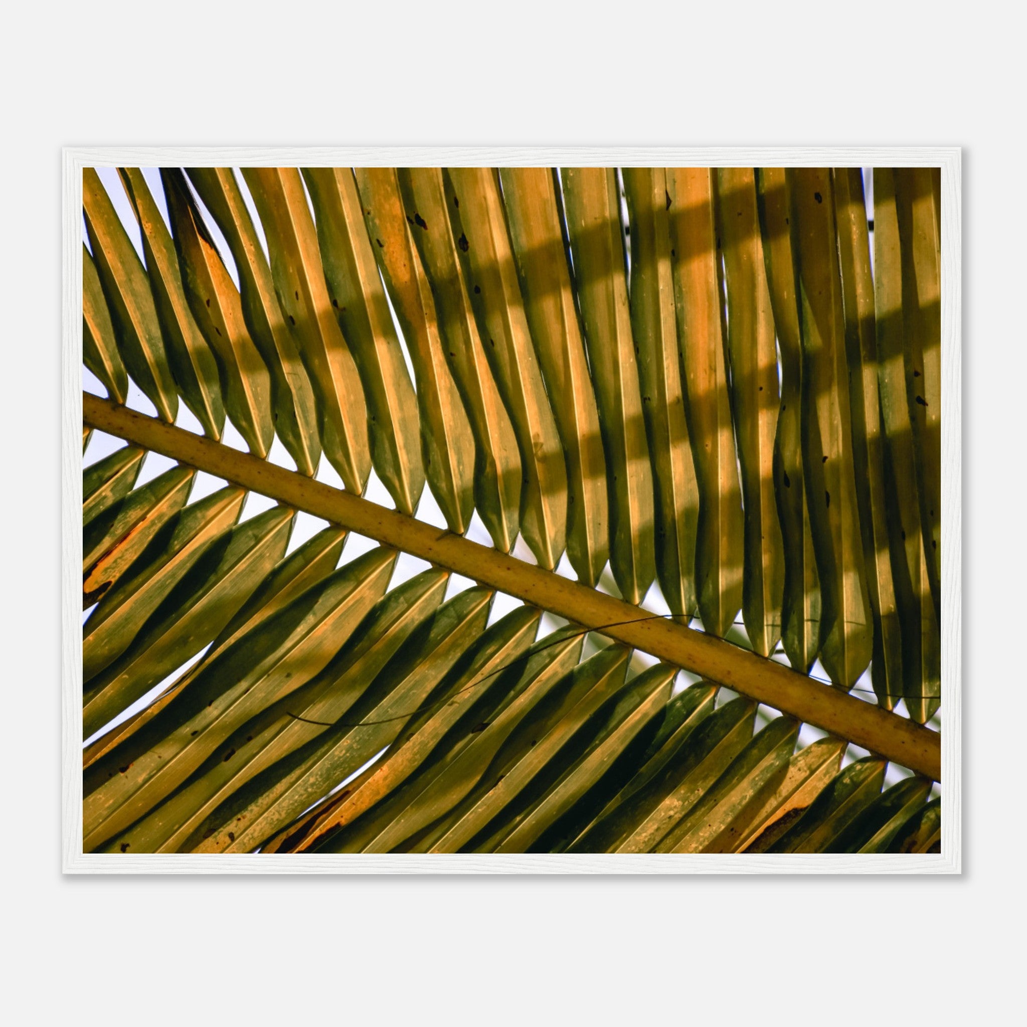228ddac4-a78e-4371-9c8d-fcc07ee08e21
