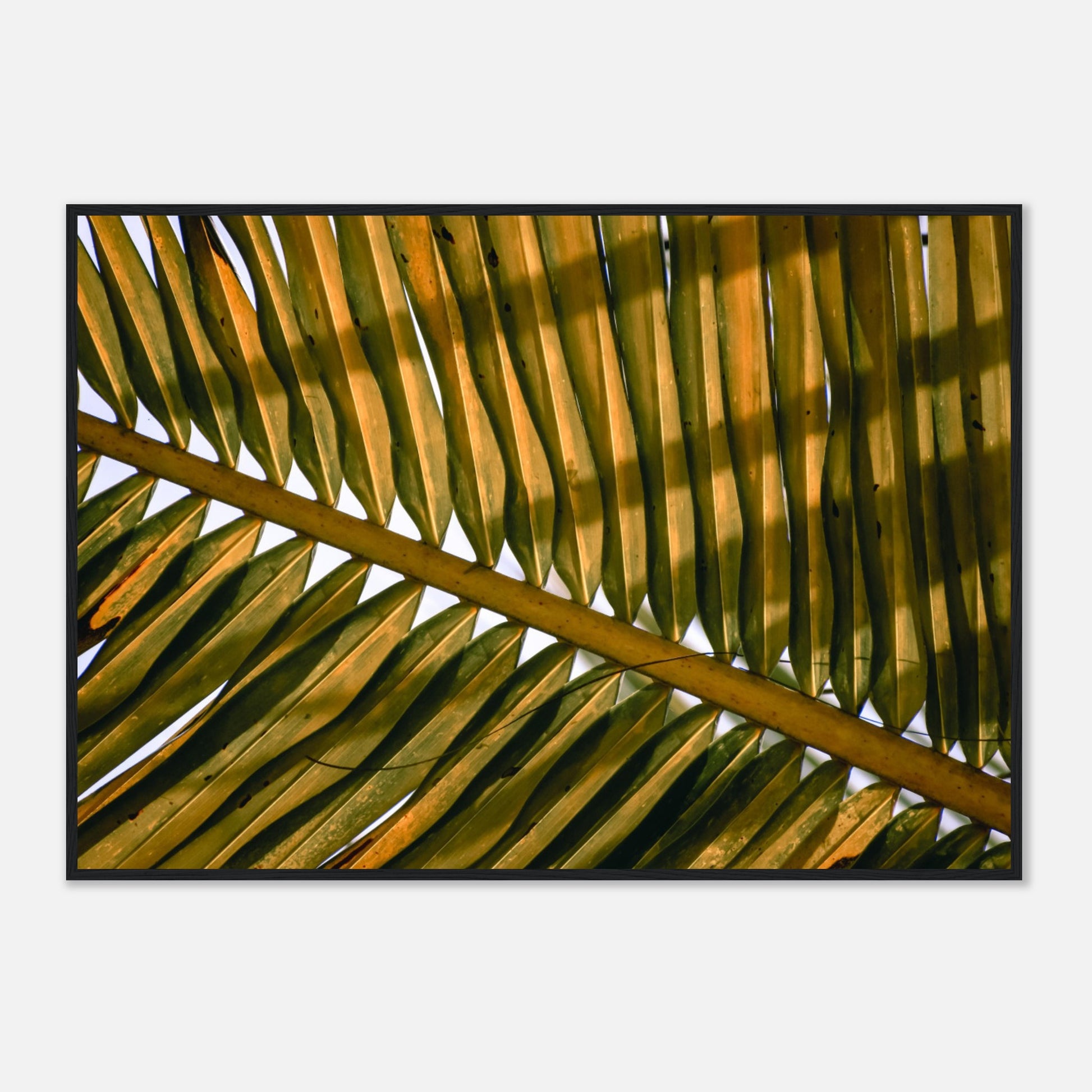 253d34e2-e7c6-4c21-ab80-d765dd1c240c