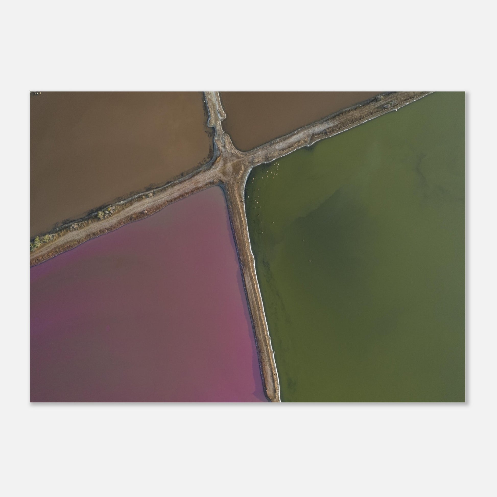 2650d7c5-27f6-4ff0-8378-ff17f7d56145