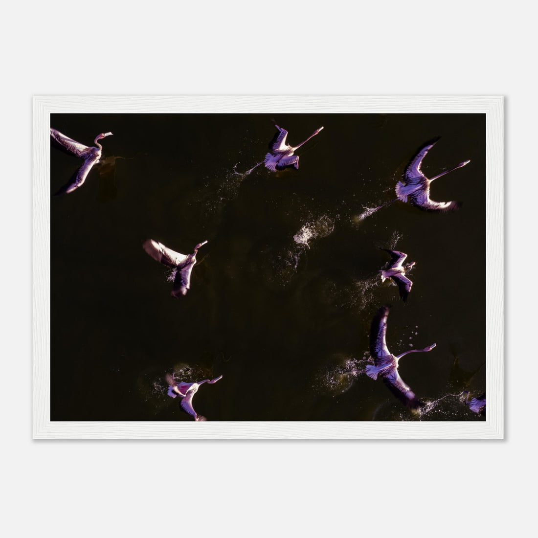 4d297590-f049-4742-ae85-f2b44fb61282