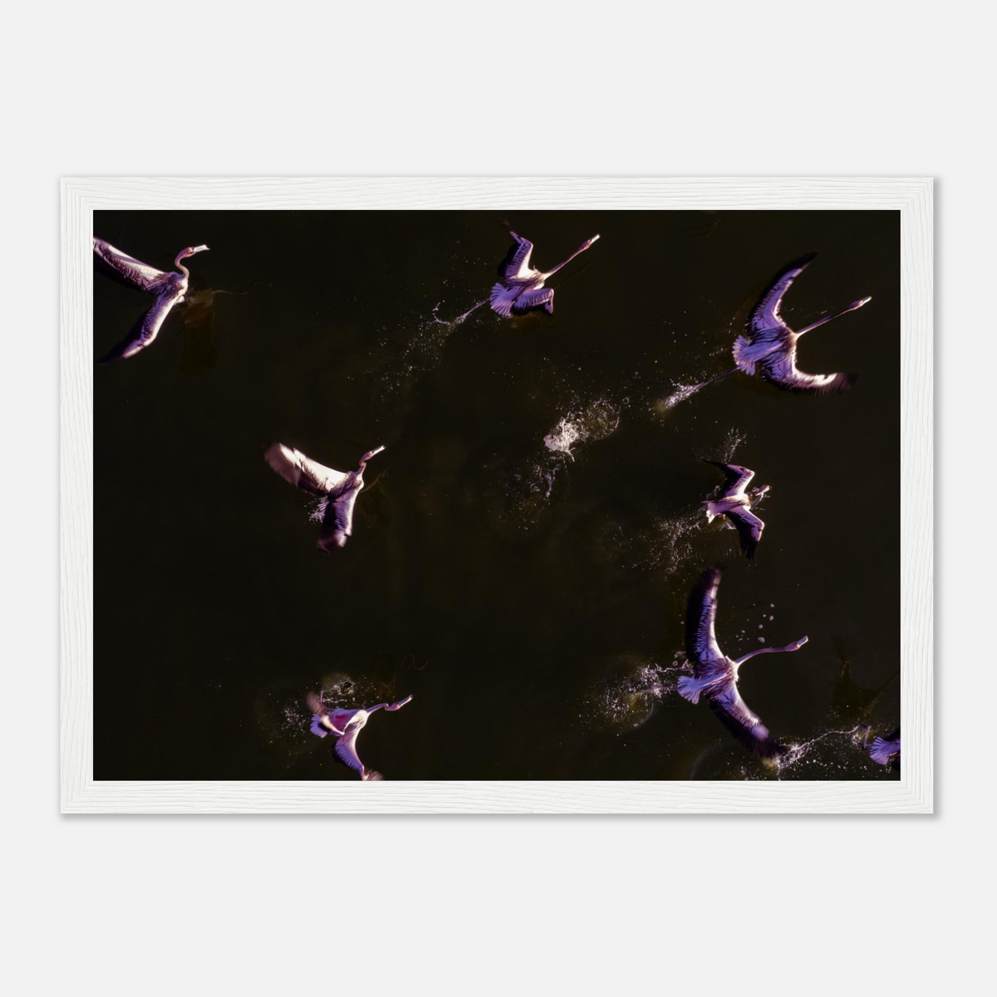 4d297590-f049-4742-ae85-f2b44fb61282