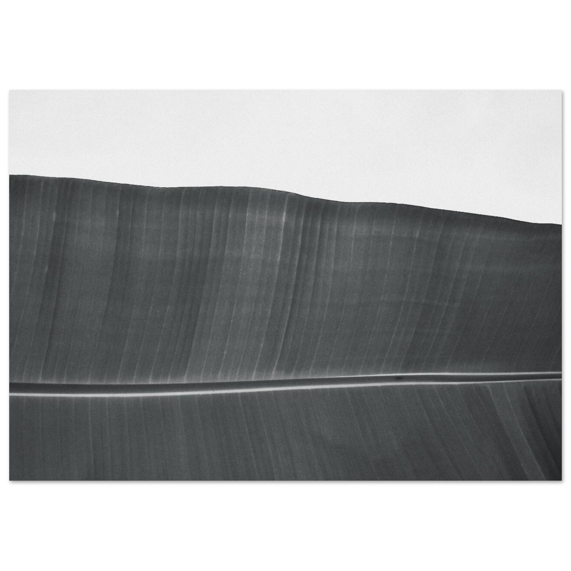 76780582-f600-4aa7-8ece-292d9e180e0d