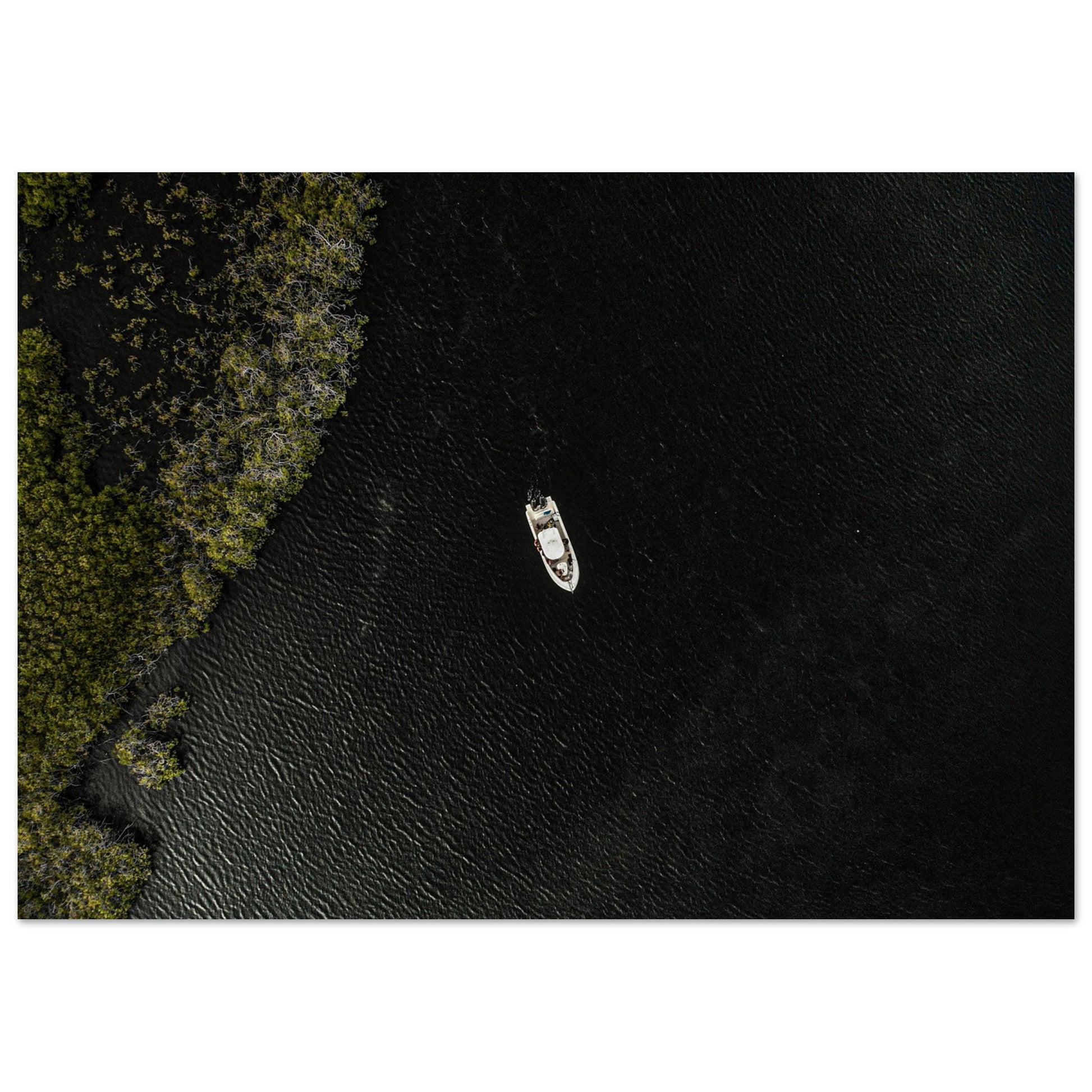 7ba40935-6faf-4d33-a637-bf11c0c8b4ca