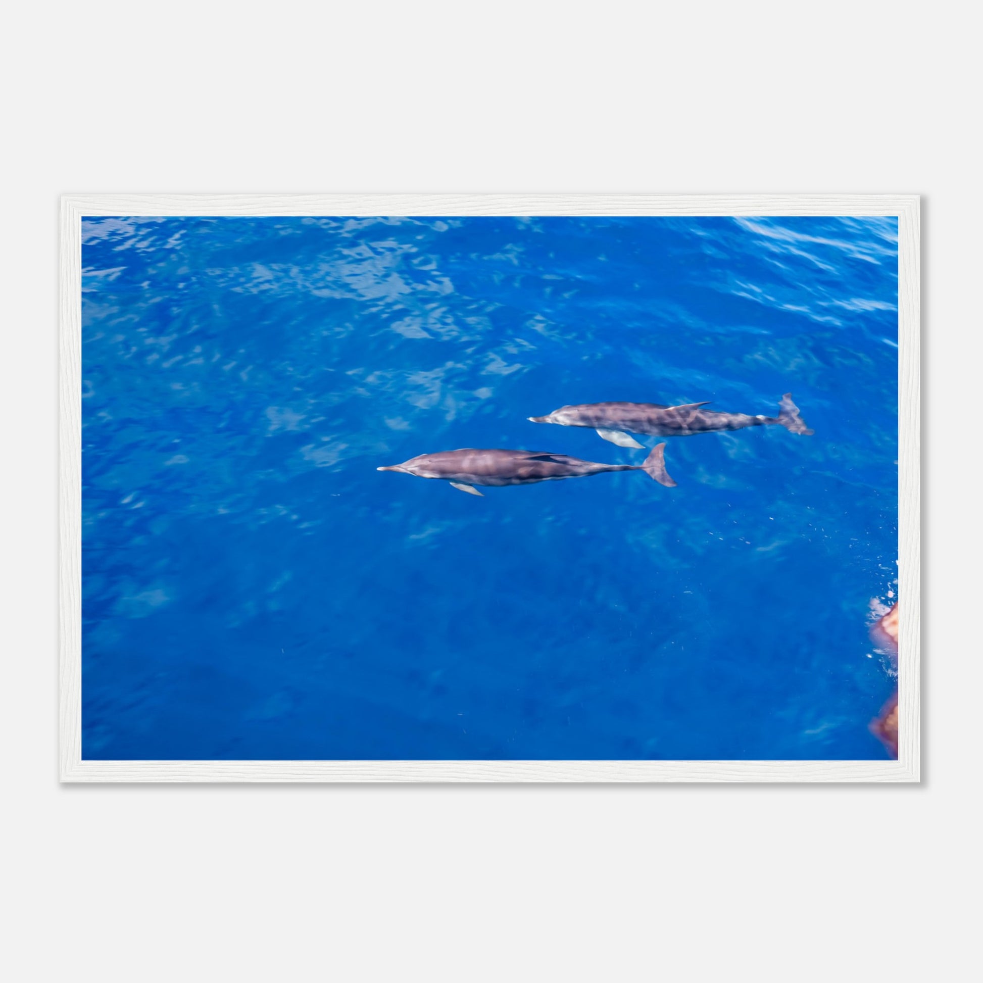 d803da23-a471-4c20-8a90-8adb7da1dca5