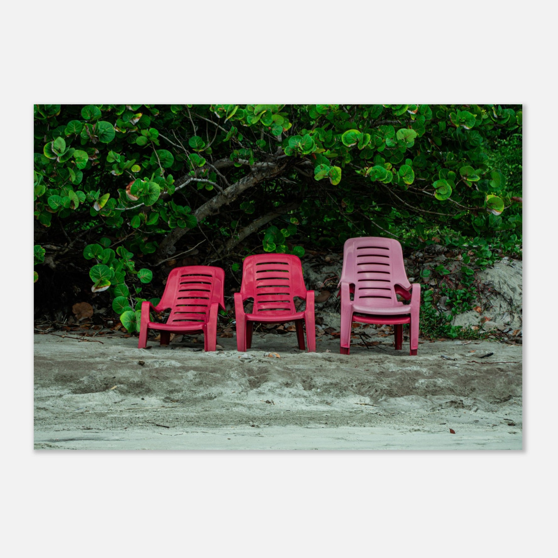 d841394f-d1cf-4cec-864b-39295187566f